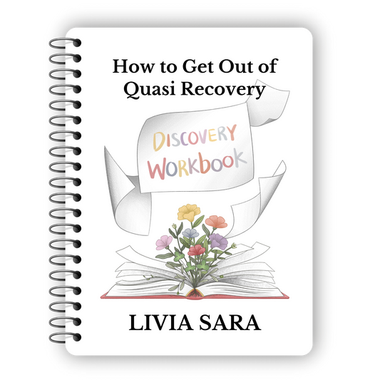 The Discovery Workbook (Paperback)